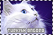  Turkish Angora